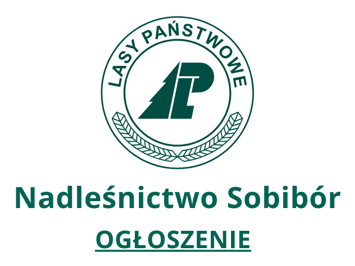 Ogłoszenie w sprawie naboru zewnętrznego na wolne stanowisko