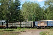 Transport drewna.