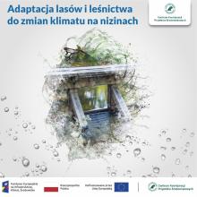 Kompleksowy projekt adaptacji lasów i leśnictwa do zmian klimatu – mała retencja oraz przeciwdziałanie erozji wodnej na terenach nizinnych – kontynuacja - MRN3